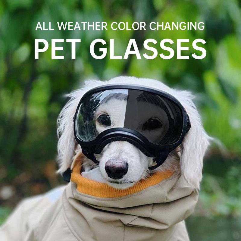 Snow Goggle Uv - Color changing pet glasses dog goggles