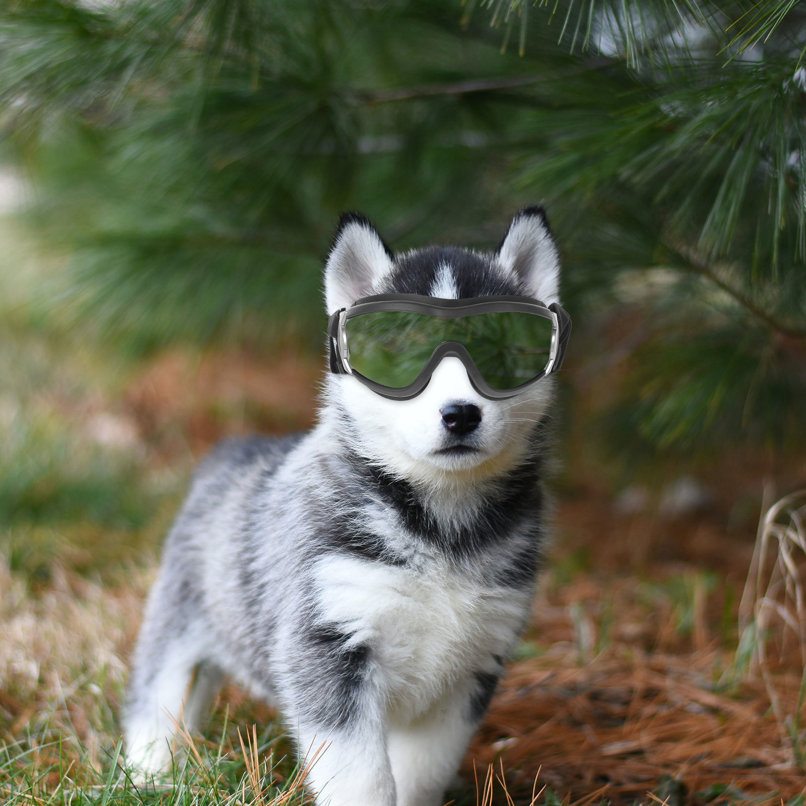 Black Windproof Dog Protective - огляд і ціна Snow Goggle Uv