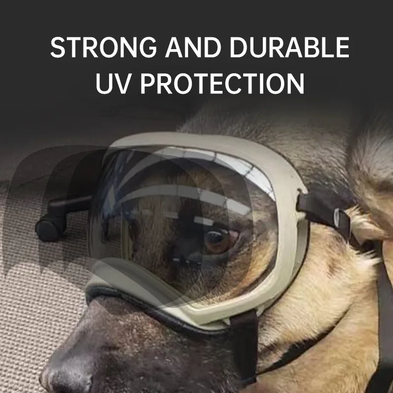 2026 Color changing pet glasse - огляд і ціна Snow Goggle Uv